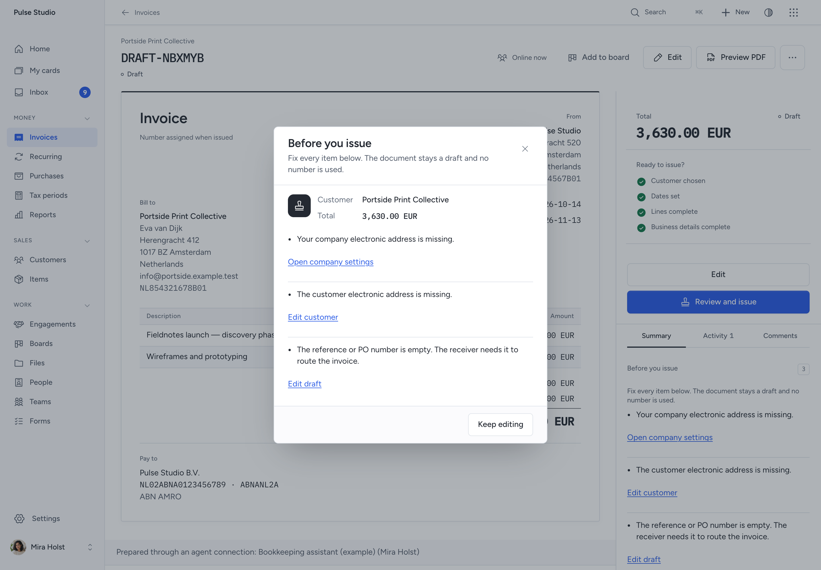 The issue review lists missing e-invoice details and links to the settings that need attention.